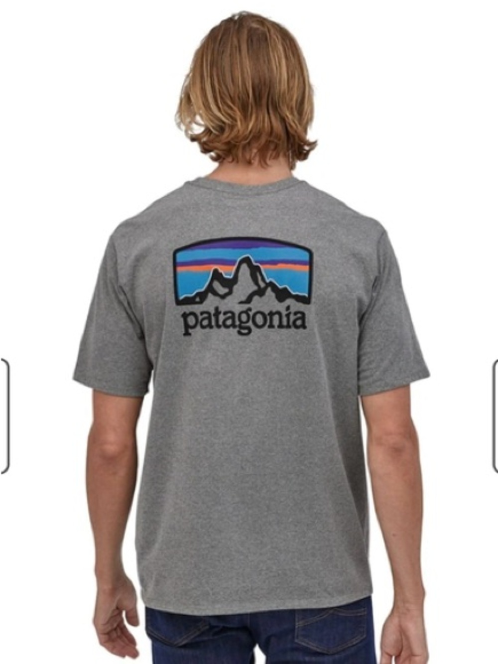 Patagonia Men's Fitz Roy Horizons Responsibili-Tee in Gravel Heather Gray size S